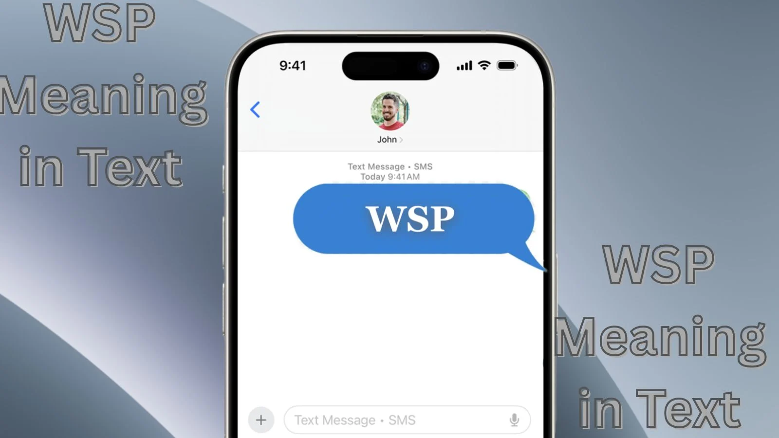 WSP Meaning in Text