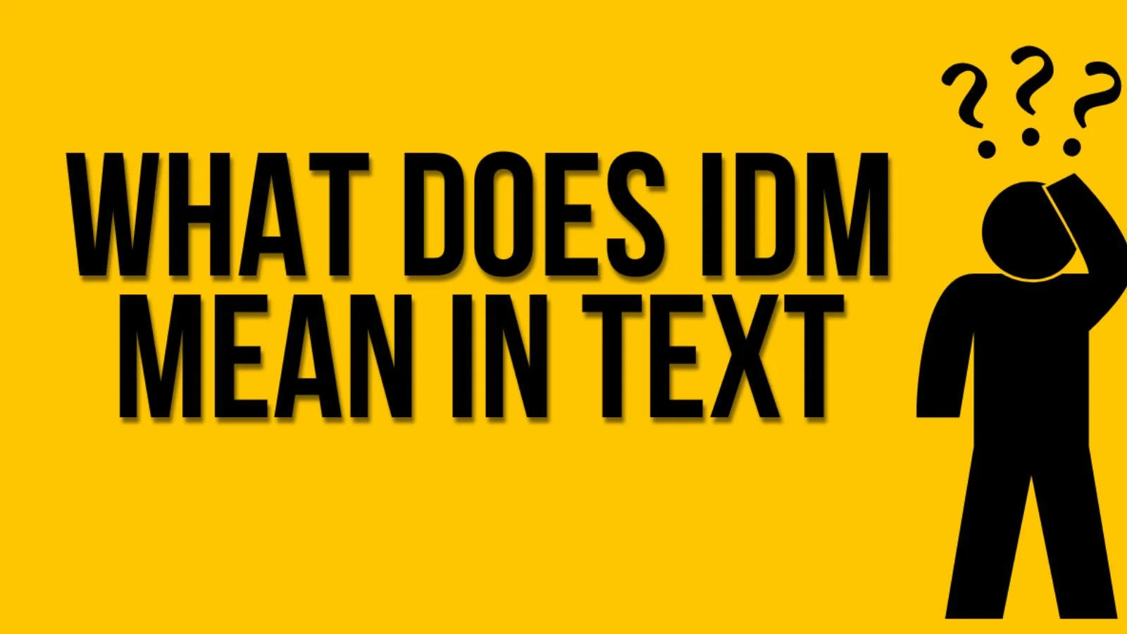 idm meaning in text