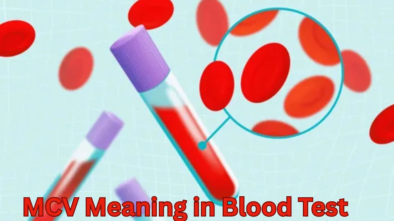 mcv meaning in blood test