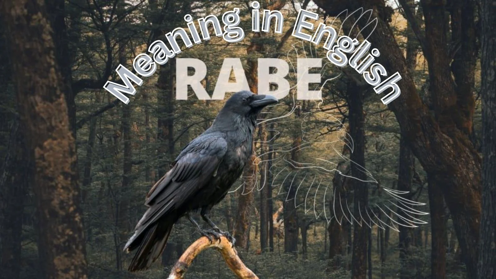 rabe meaning in english