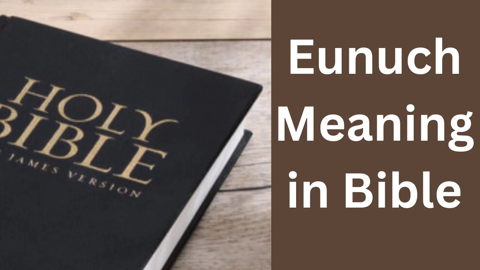 eunuch meaning in bible