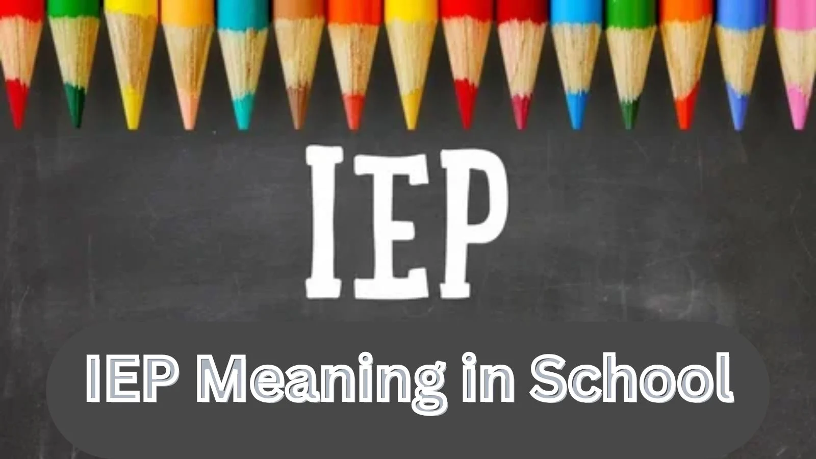 iep meaning in school