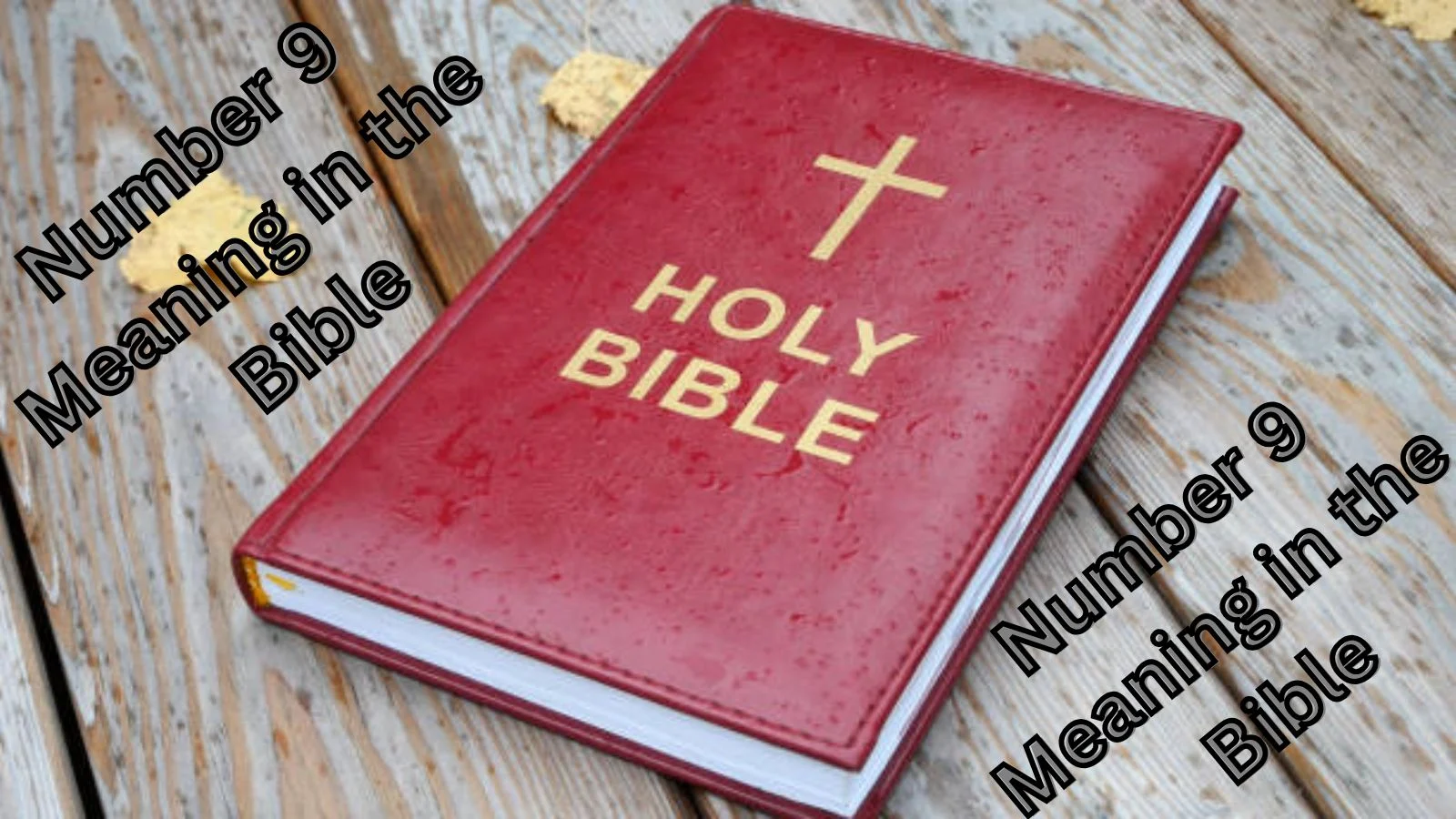 number 9 meaning in the bible