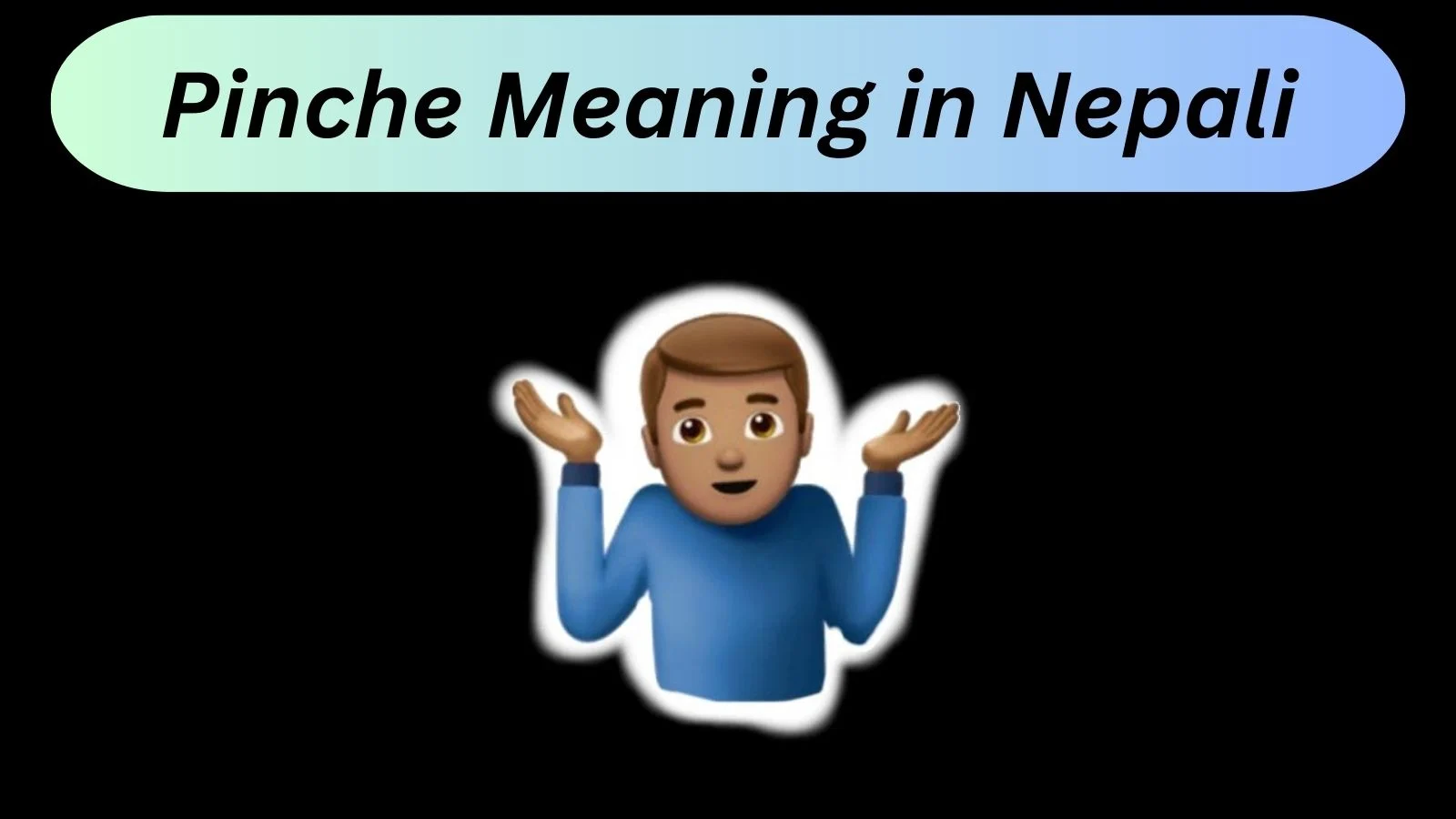 pinche meaning in nepali