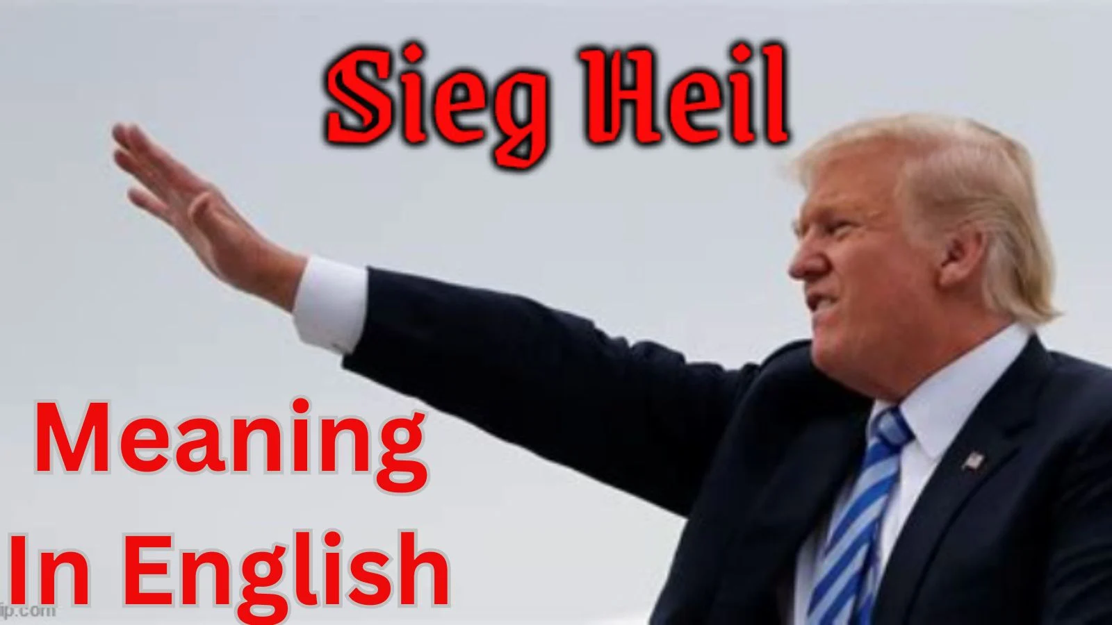 sieg heils meaning in english