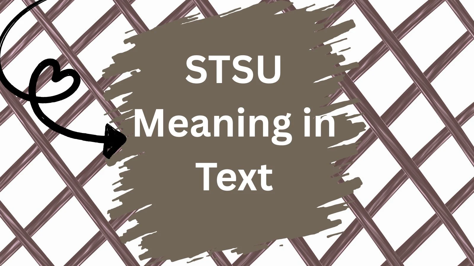 stsu meaning in text