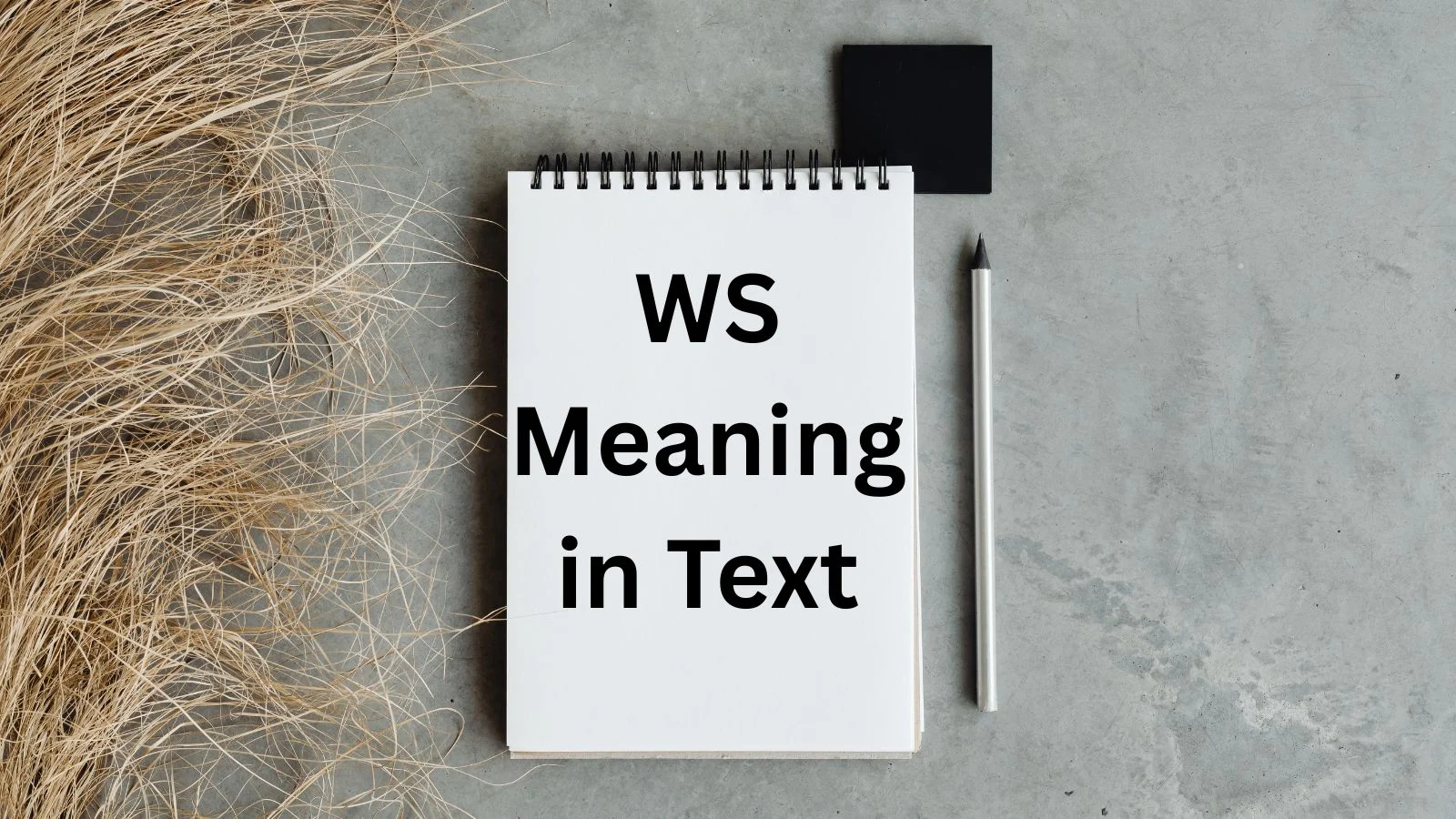ws meaning in text