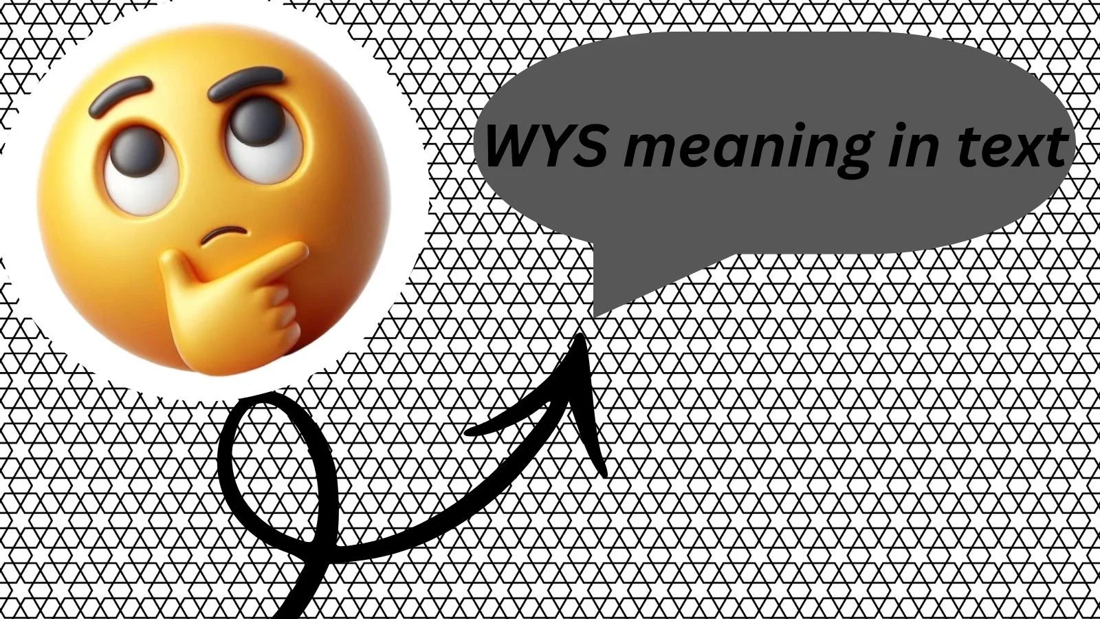 wys meaning in text