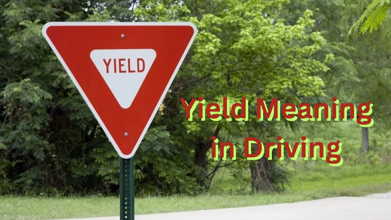 yield meaning in driving