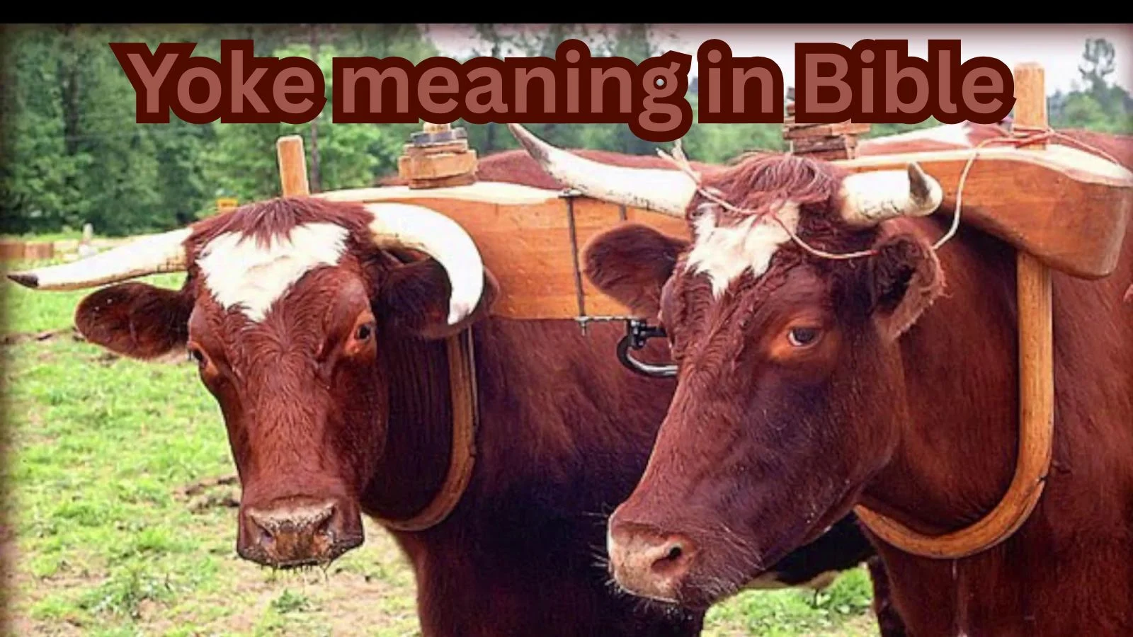 yoke meaning in bible