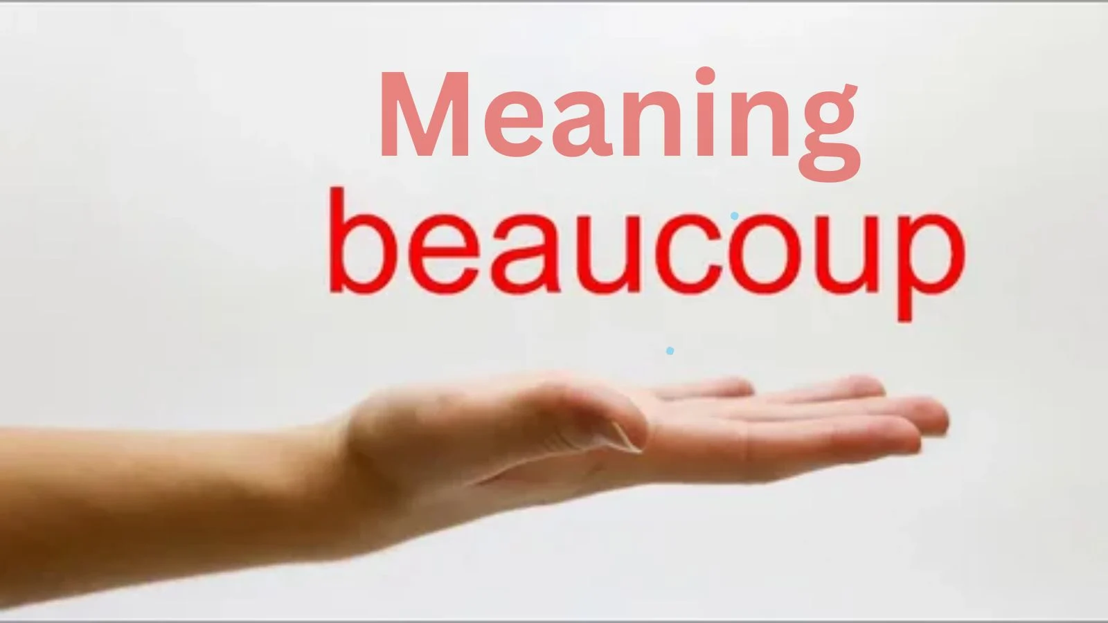 beaucoup meaning