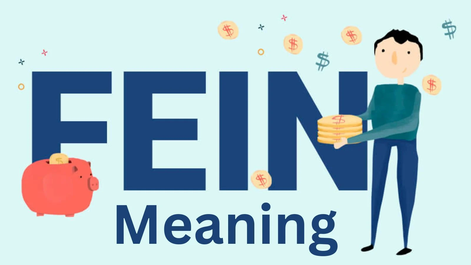 fein meaning