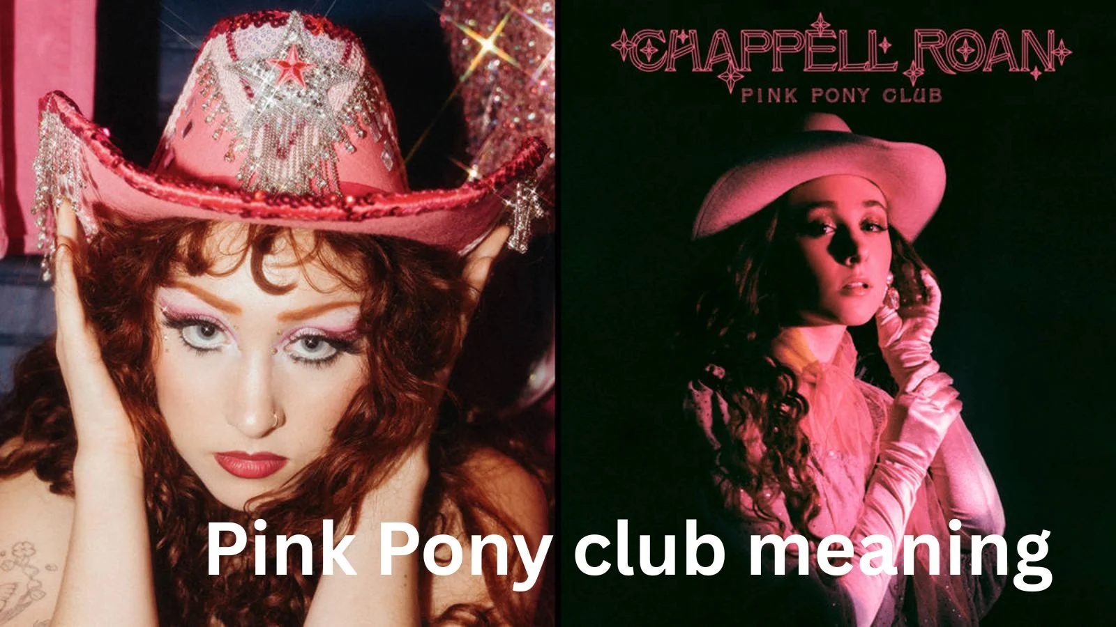 pink pony club meaning