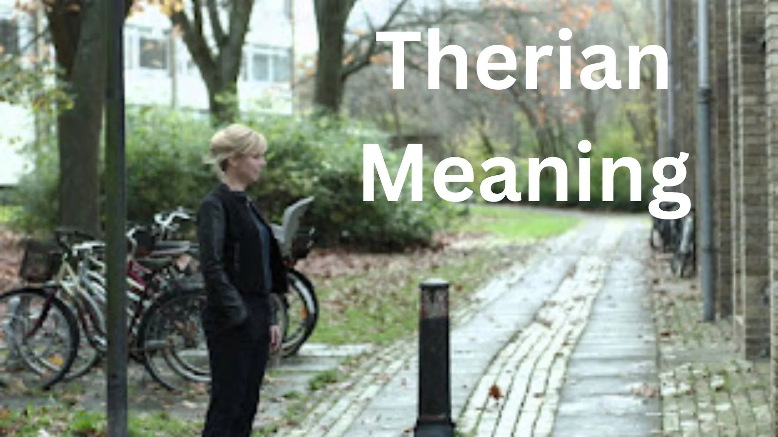 therian meaning