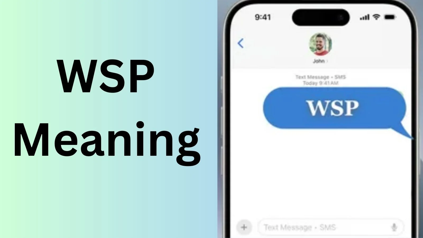 wsp meaning