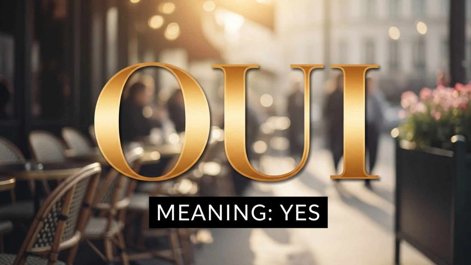 oui meaning