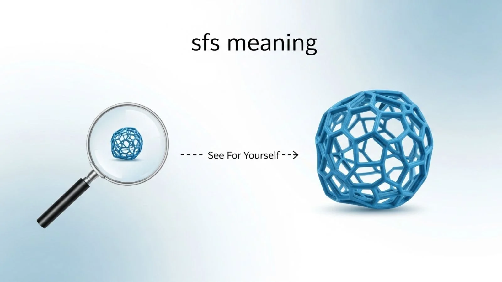 SFS Meaning: Simple Definition, Origin, Examples & 2026 Social Media Guide